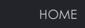 Home button