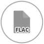 Flac Converter - Audio converter - Flac to MP3
